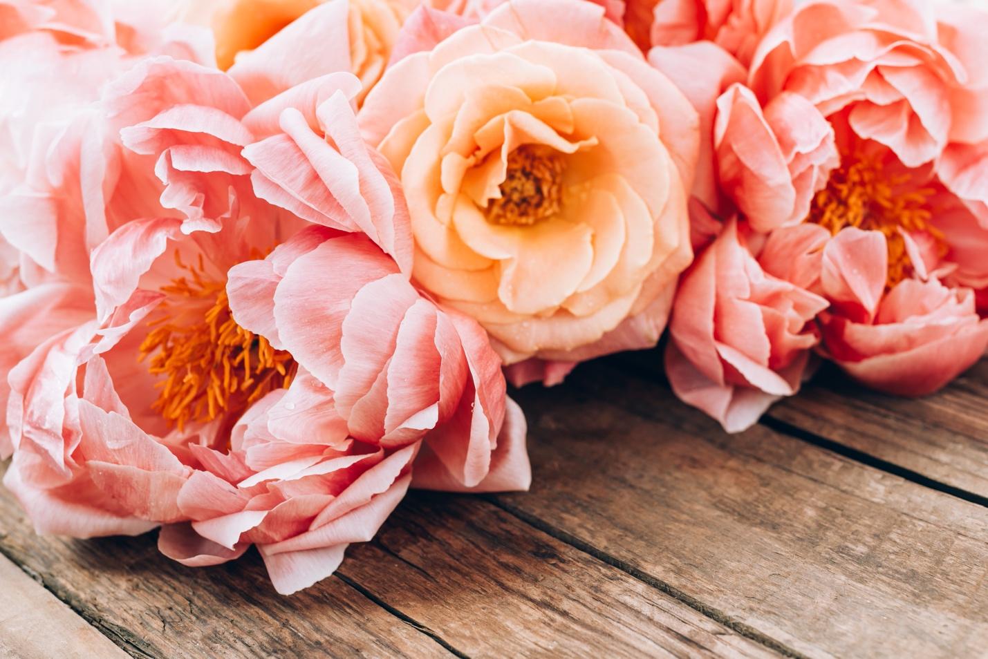 The Ultimate Guide to Caring for Peonies
