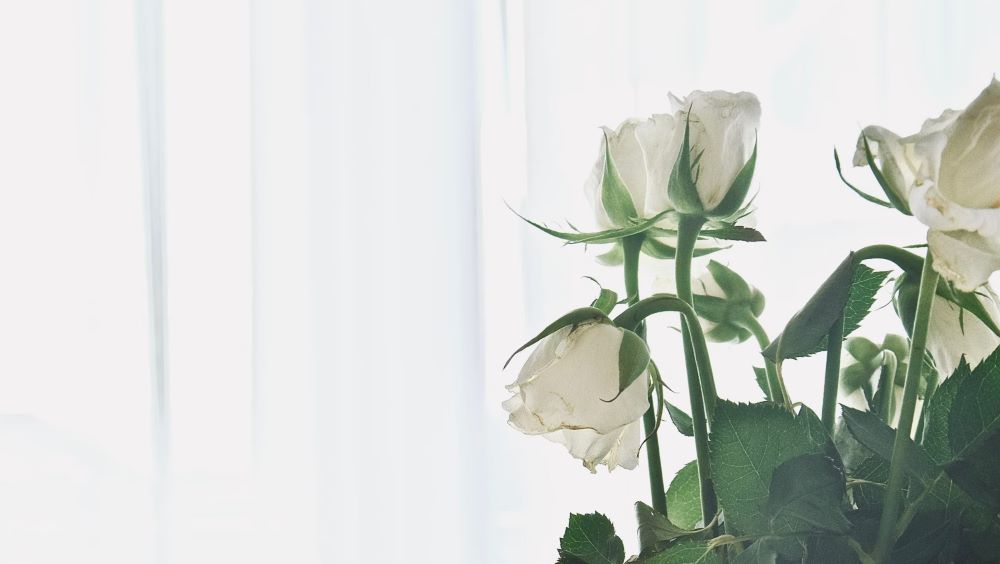 Guide to Choosing the Appropriate Flowers for a Funeral Wake