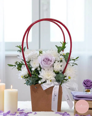 Iris FBS - FloristiqueSG
