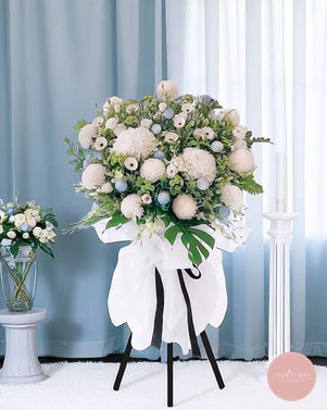 Solace (IX) - FloristiqueSG