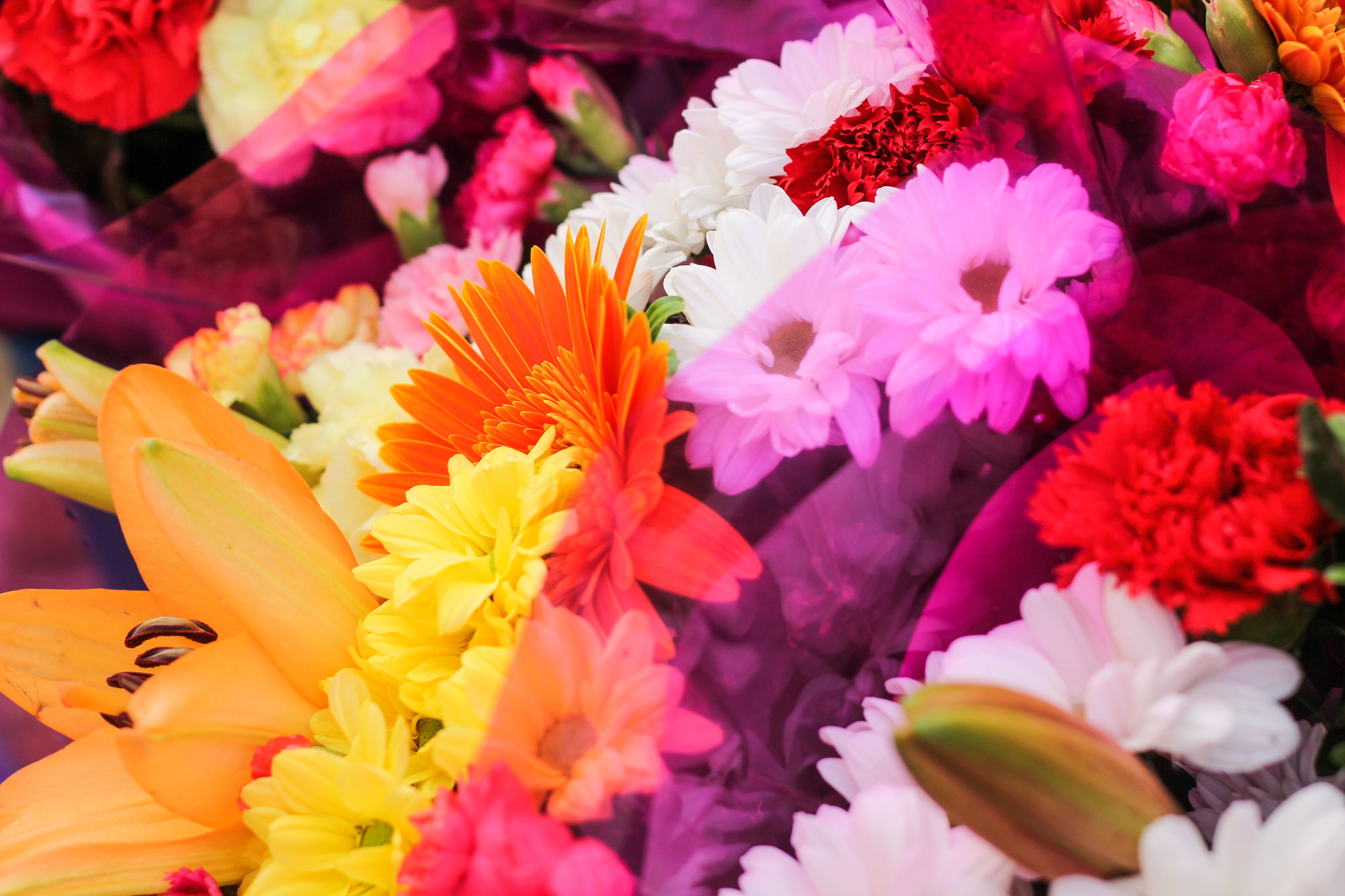Exploring The Meaning Of Colours in Floral Arrangements