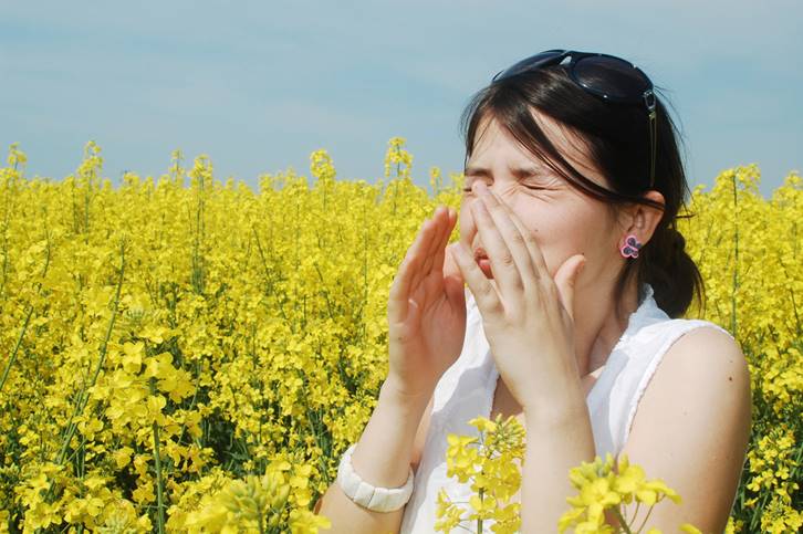 Hypoallergenic Flowers to avoid