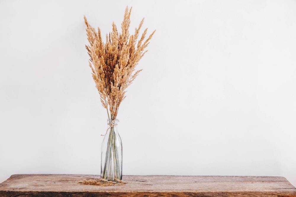 The Ultimate Guide to Caring for Dried Flowers