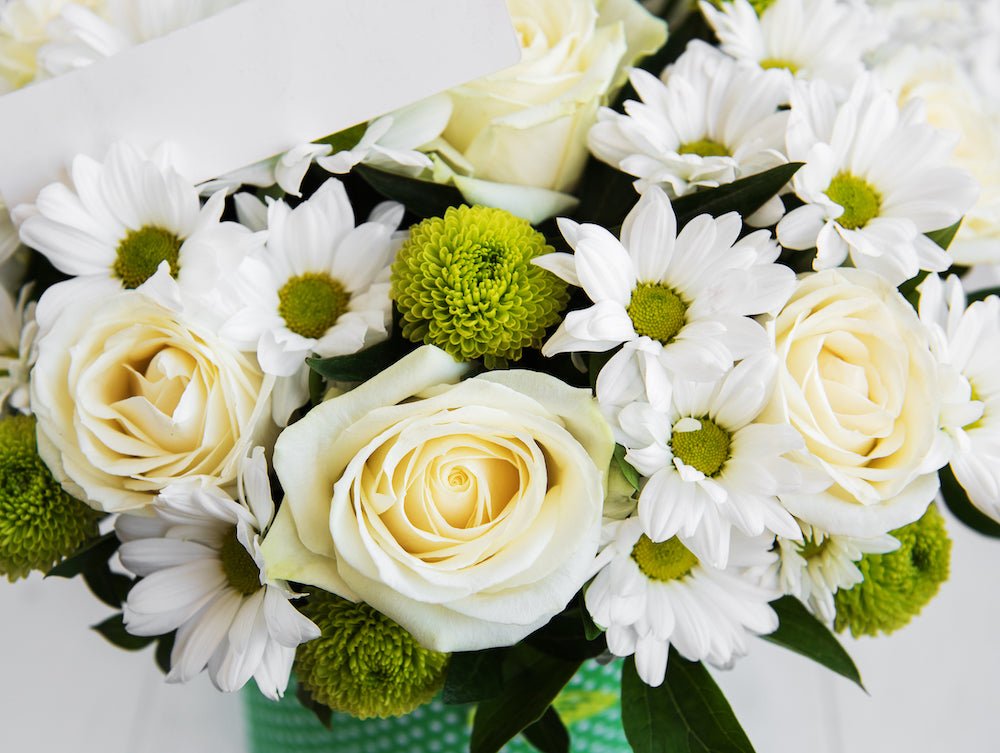 Purity in White: The Psychology & Symbolism Of White Flowers