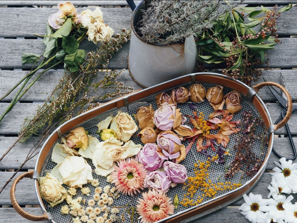 Eco-Friendly Dried Flower Gift Ideas