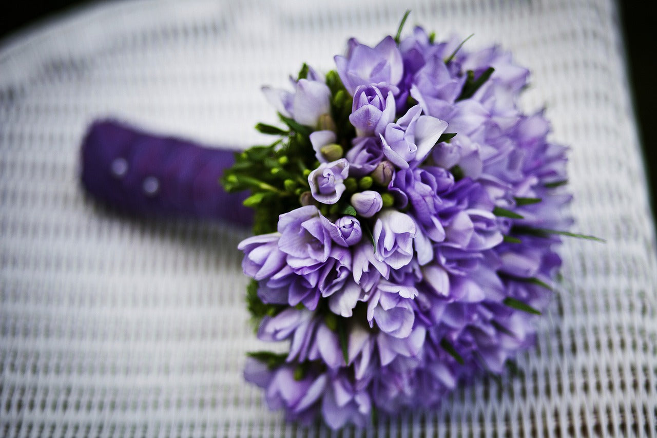 25 Flowers That Represent New Beginnings