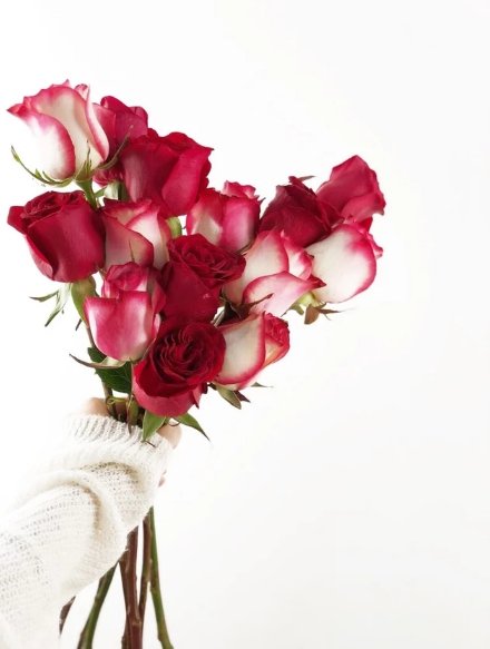 What Are the Best Flowers for Mother’s Day?