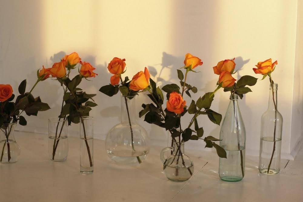 The Ultimate Guide to Choosing a Vase for Your Flowers