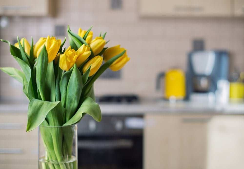 5 Most Fragrant Flowers to Add a Pleasant Scent to Your Home
