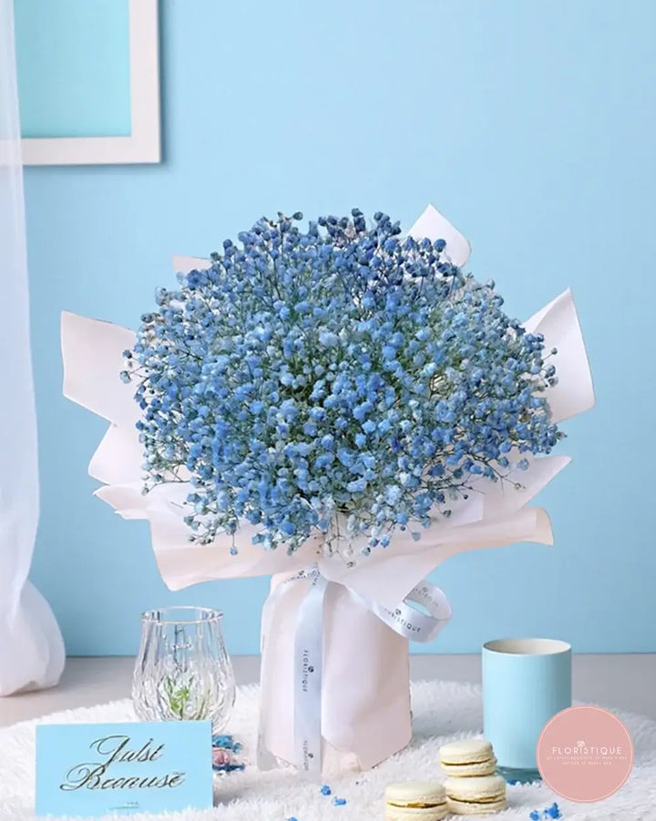 Clue - FloristiqueSG 