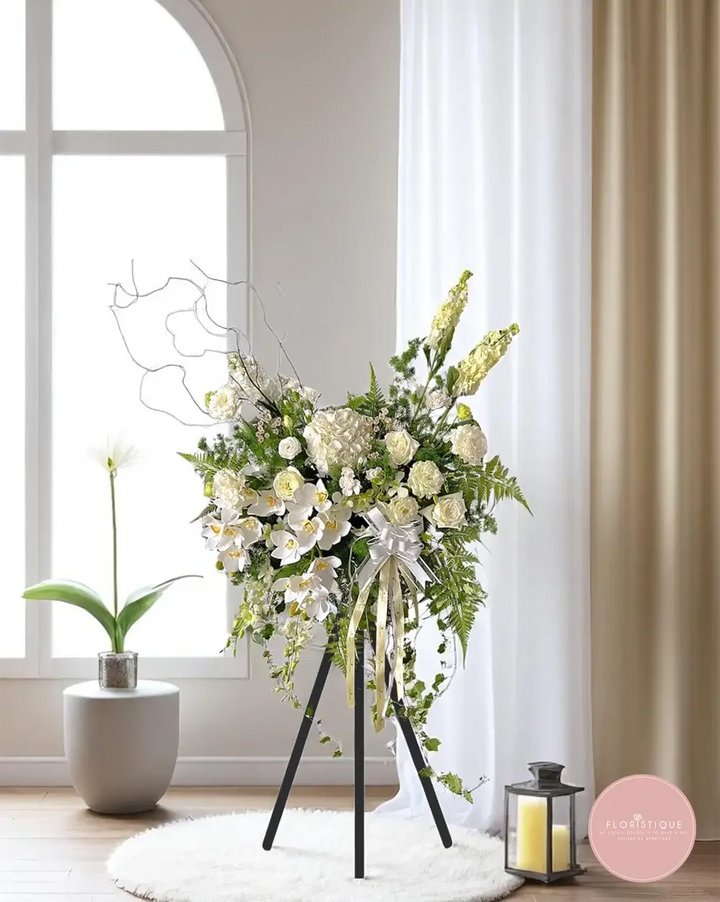 Comfort (X) - FloristiqueSG 