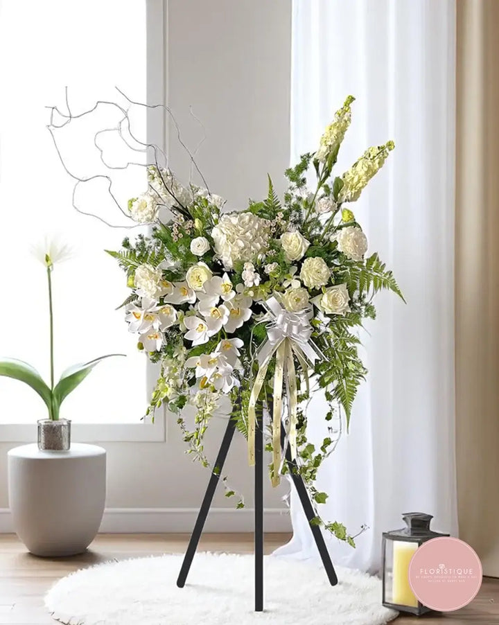 Comfort (X) - FloristiqueSG 