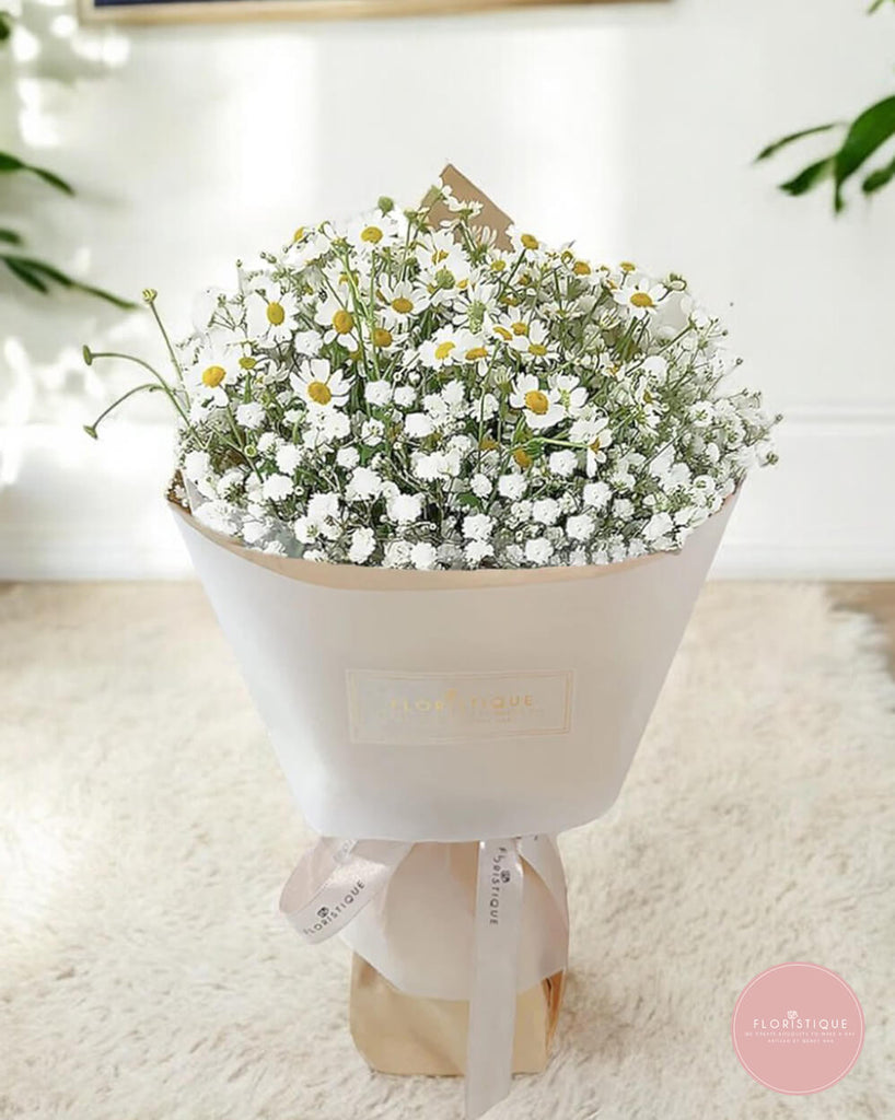 Daisy - FloristiqueSG 