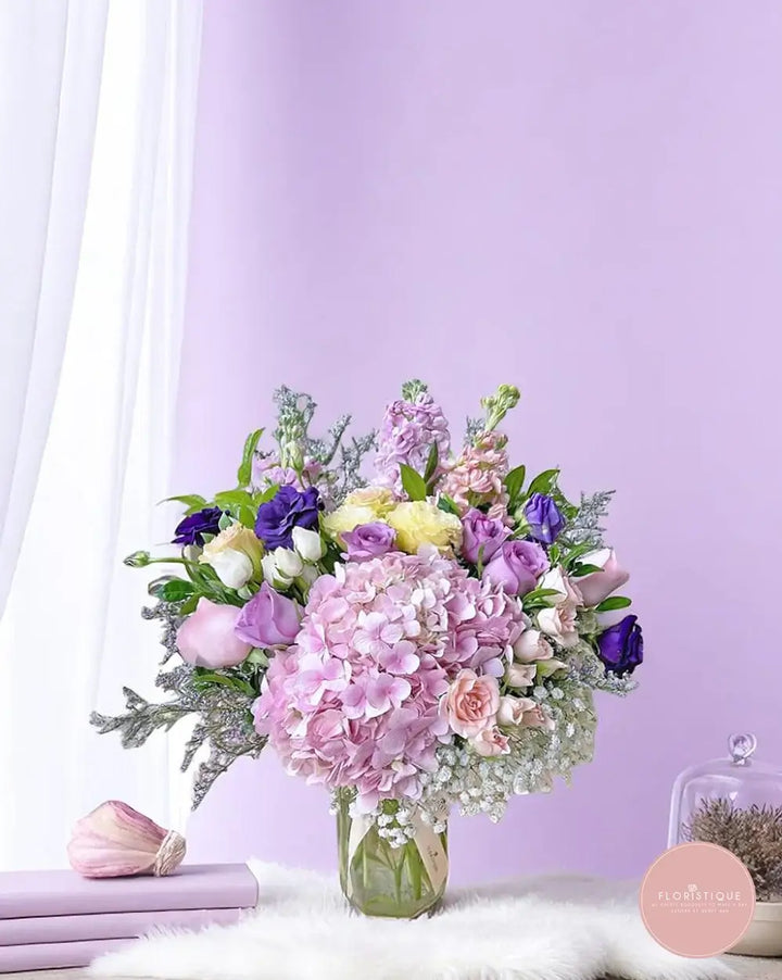 Miltonia - FloristiqueSG 