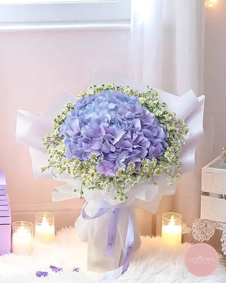 Smiss - FloristiqueSG 