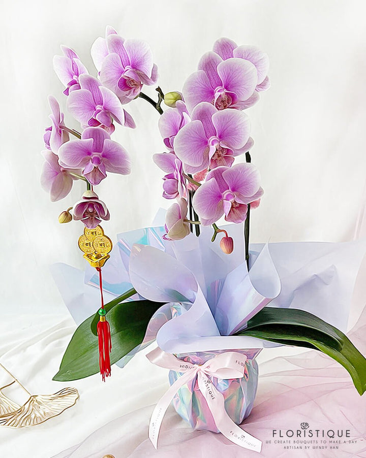 Heng (V) - FloristiqueSG 