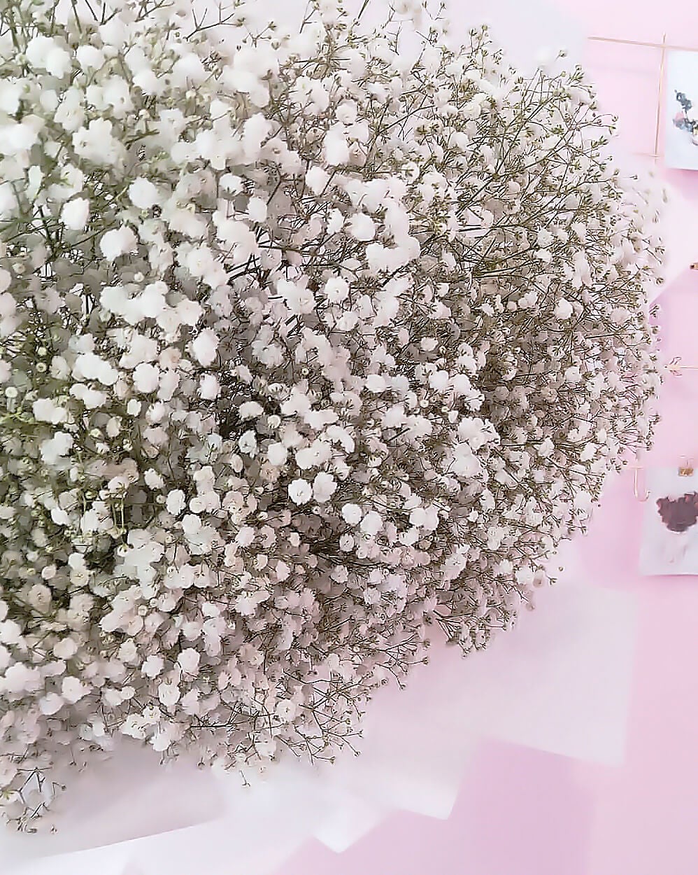 Snowie - FloristiqueSG 