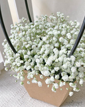 Lainey Flower Basket - Baby's Breath Arranged By Florist In Singapore, Floristique