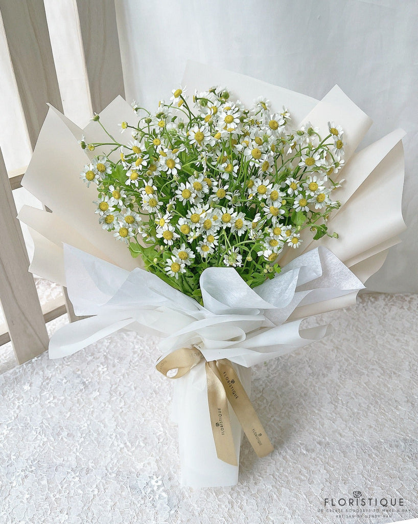 Daisy II - FloristiqueSG 